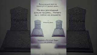 Мудрость времени #цитаты #ислам #мусульмане #религия