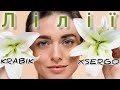XSERGO KRABIK ЛіЛІЇ Remix