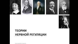 Лекция 10. Теория функциональных систем. Обработка информации в ЦНС.