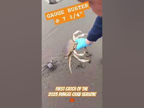 Dungeness Crab 2023-2024 season opener - YouTube