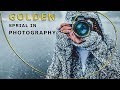 SECRET Many Photographers Use "GOLDEN RATIO"