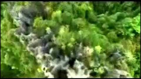 سورة الرحمن للقارئ عبد الله عبدل