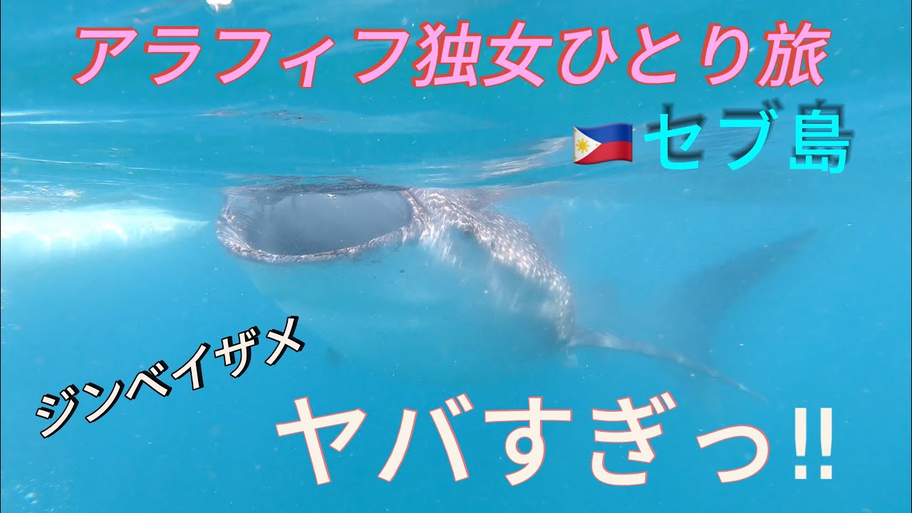 アラフィフ独女ひとり旅【セブ島3日目。念願のジンベイザメと一緒に泳ぐ】CSPツアーでスミロン島とカワサン滝にもいきました。