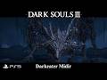 What 10,000 hours of DS3 looks like