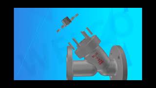 How the Y strainer works