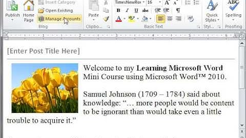 Word 2010 Creating a Blog Post
