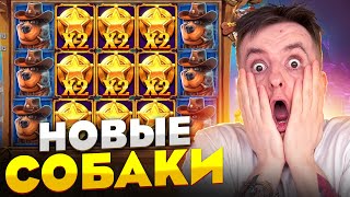 Занос в Dog House Dog or Alive! ВЫИГРАЛ 4.000.000! НОВЫЕ СОБАКИ! Заносы Недели!