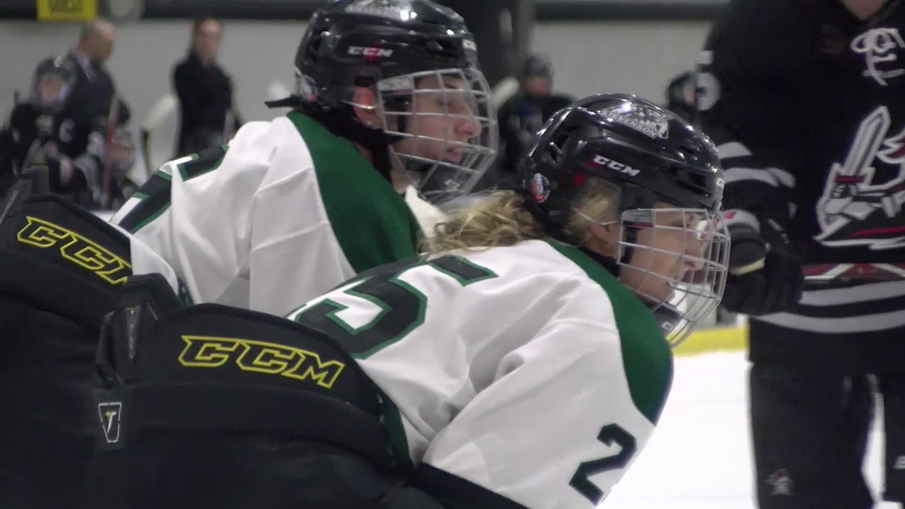 Stevenson Women's Ice Hockey UCHC Quarterfinal extended highlights