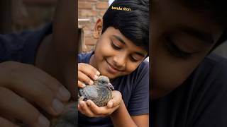 কবুতরের প্রতি ভালোবাসা #youtubeshorts #viral #love #bondu riton#nowpost #shortvideo #foryou #all