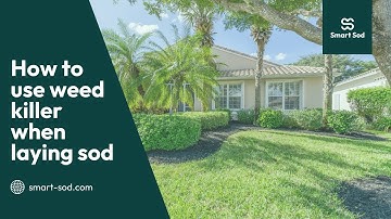 How to use weed killer when laying sod