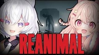 ピップキン ピッパの配信のサムネイル画像