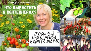 17 овощей для огорода в контейнерах /  Если у вас нет участка под огород