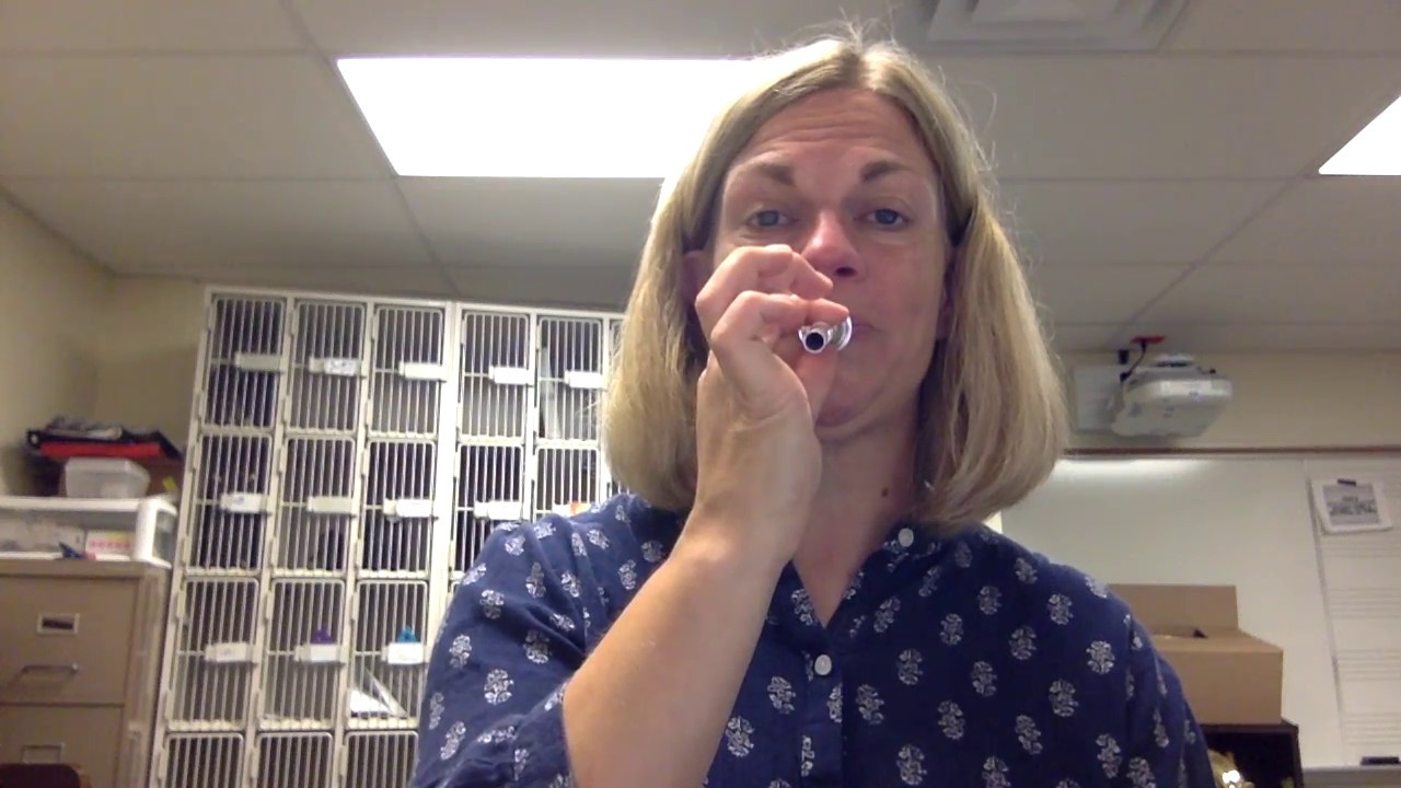 buzzing on your trumpet mouthpiece YouTube