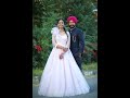  live  harleen singh dhami weds avneet kaur  wedding ceremony