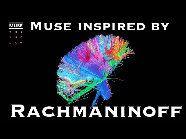MUSE ピック Muse - 