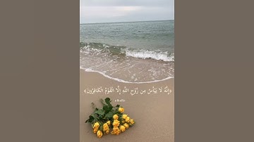 (وَلَا تَيْأَسُوا مِن رَّوْحِ) القارئ وديع اليمني