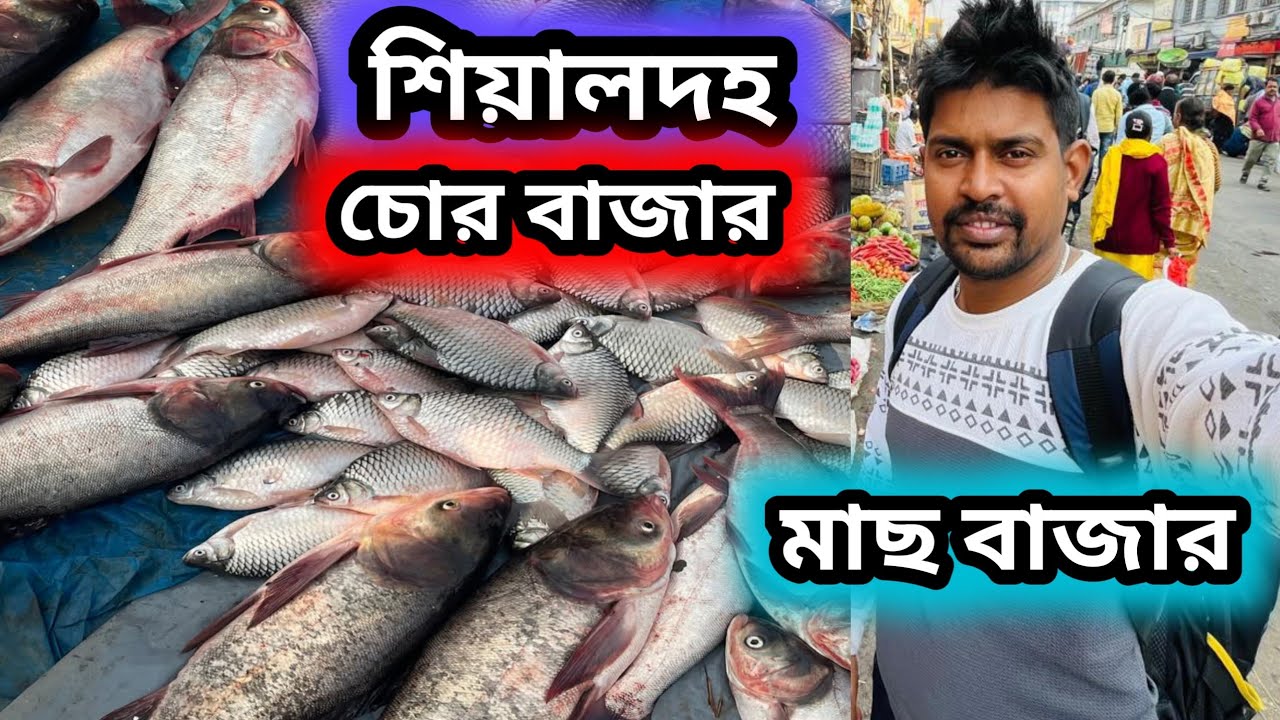 শিয়ালদা মাছের চোর বাজার মাছের দাম ব্যাপক সস্তা || Sealdah wholesale fish market 