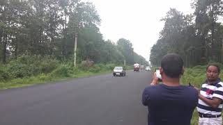Elephant Crossing Near Mangpong