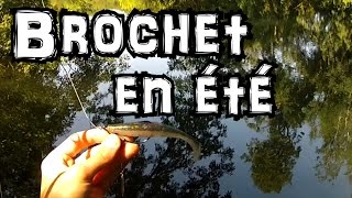 Pêcher le brochet au leurre quand il fait très chaud en été