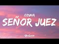 Ozuna, Anthony Santos - Señor Juez  (Letra)