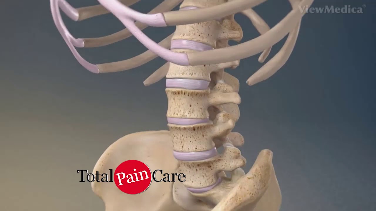 Dr Pearson Women's Lower back pain YouTube