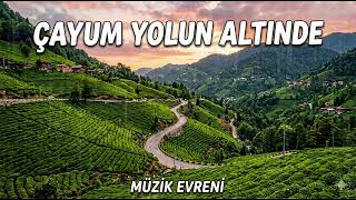 musıc evreni / Çayum yolun altinde (Official Audio)