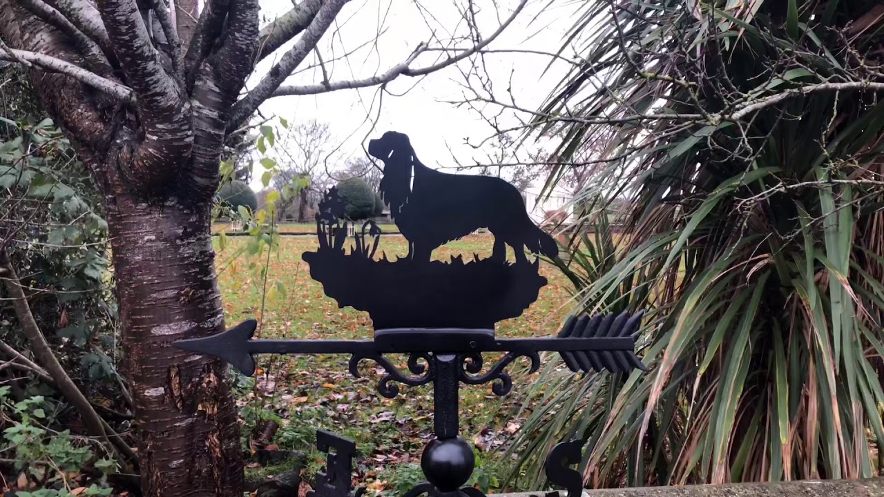 28 November 2018 camera iphone 8 plus apk