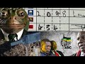 ubufakazi  bokwebiwa  kwama  Vote  e South Africa