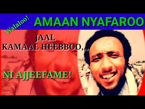 Walaloo Amaan Nyafaroo Kamal Heebboo Tiif Abiy App Channel