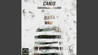 Yadeshoon Mimoone - Canis