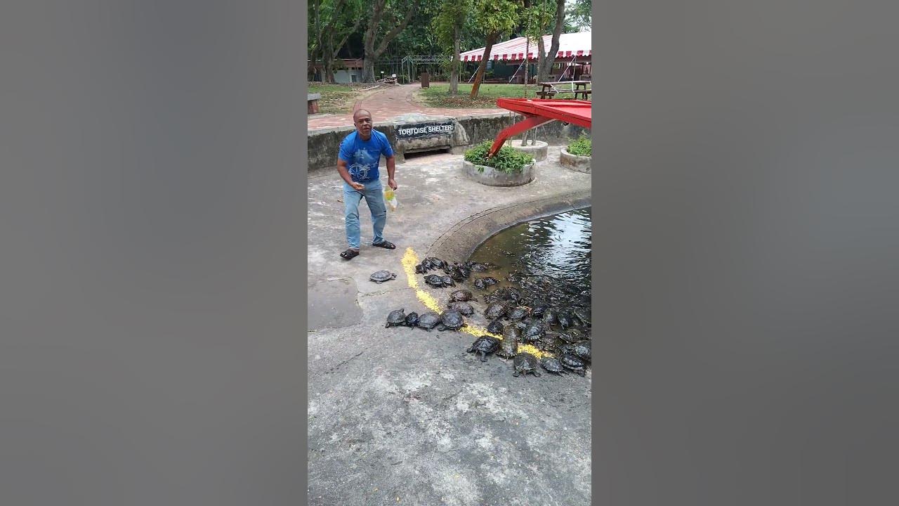 kusu-island-singapore-southern-island-3-oct-23-captain-z-feeds