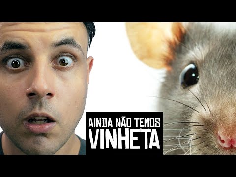 Um rato na minha comida - Ainda não temos vinheta