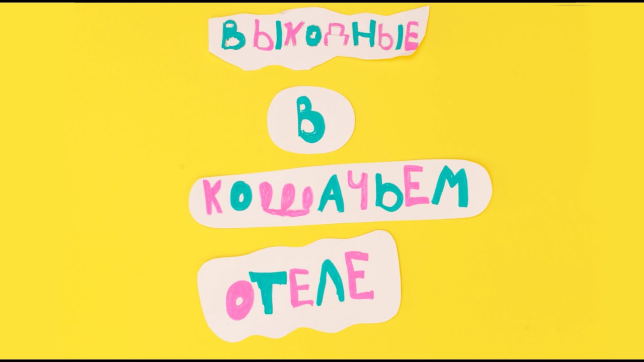 Кошачий отель. Детская анимация, метод перекладки. - YouTube