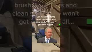 Just over here brushin horses 🤣 #freehelp #barnlife #horsemanship #SteveRotherHorsemanship