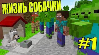 ВЫЖИВАНИЯ СОБАЧКИ В ЗОМБИ ГОРОДЕ! МАЙНКРАФТ МУЛЬТИК ЗОМБИ ВИРУС 5