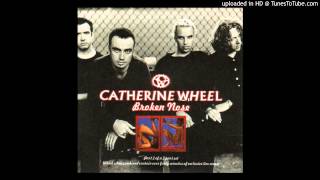 Catherine Wheel - Flower To Hide (Univ Of London, UK, 2-26-98, Broken Nose CD EP Part 2, 4-98)