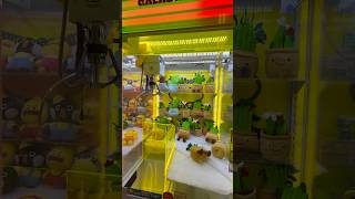 Mesin capit boneka kaktus #mainananak #boneka #kaktus