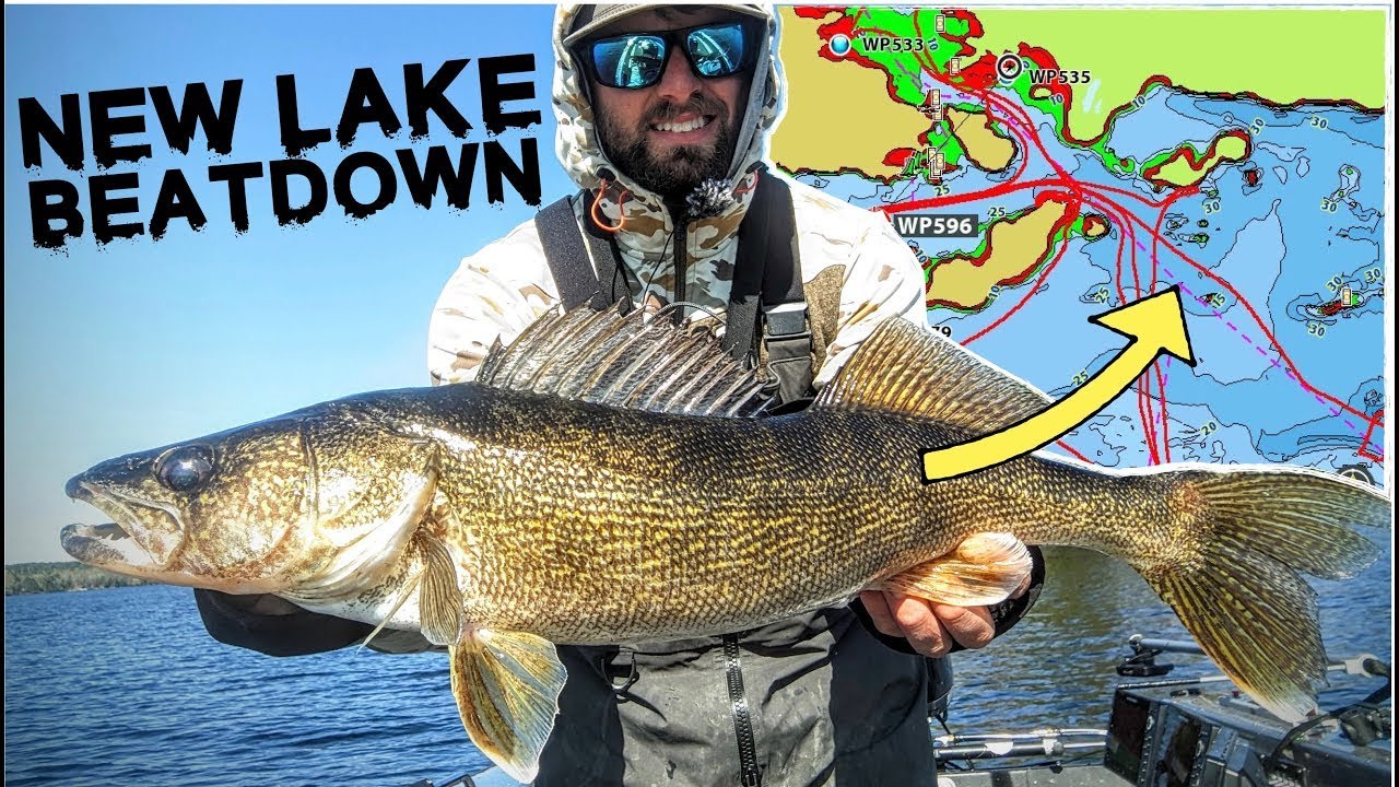 Catching BIG Spring Walleyes on a NEW LAKE! 