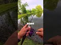 The Line That Changed My Setup #Fishing #FishingVideos #FishingContent