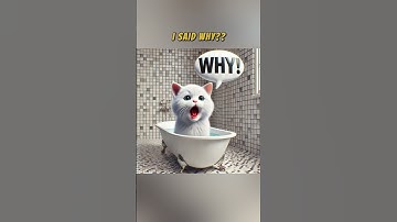 I Swallowed Shampoo : Cute Kitten Ai Version #ai #aiart #kitten #chatgpt #shorts