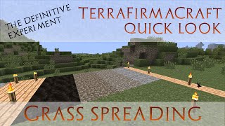 TerraFirmaCraft Quick Look - Grass - Experiment in Where it Spreads [0.78.17]