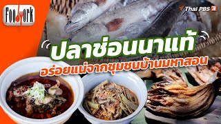 ปลาช่อนนาแท้ อร่อยแน่จากชุมชนบ้านมหาสอน | Foodwork [CC]