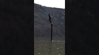 Record Du Monde Battu ! Le Plus Haut Foil Du Monde !