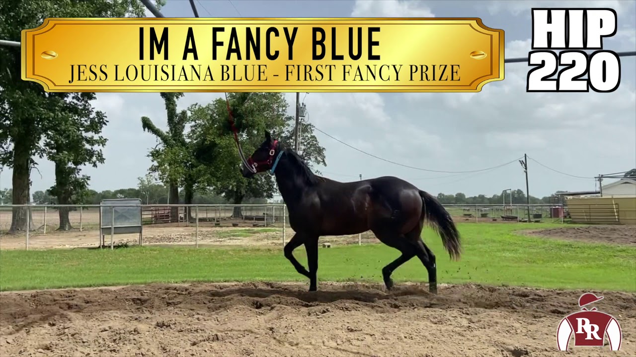 Hip 220 LQHBA '20 Yearling Robicheaux Ranch YouTube