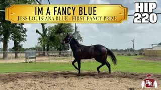 Hip 220 - LQHBA '20 Yearling - Robicheaux Ranch