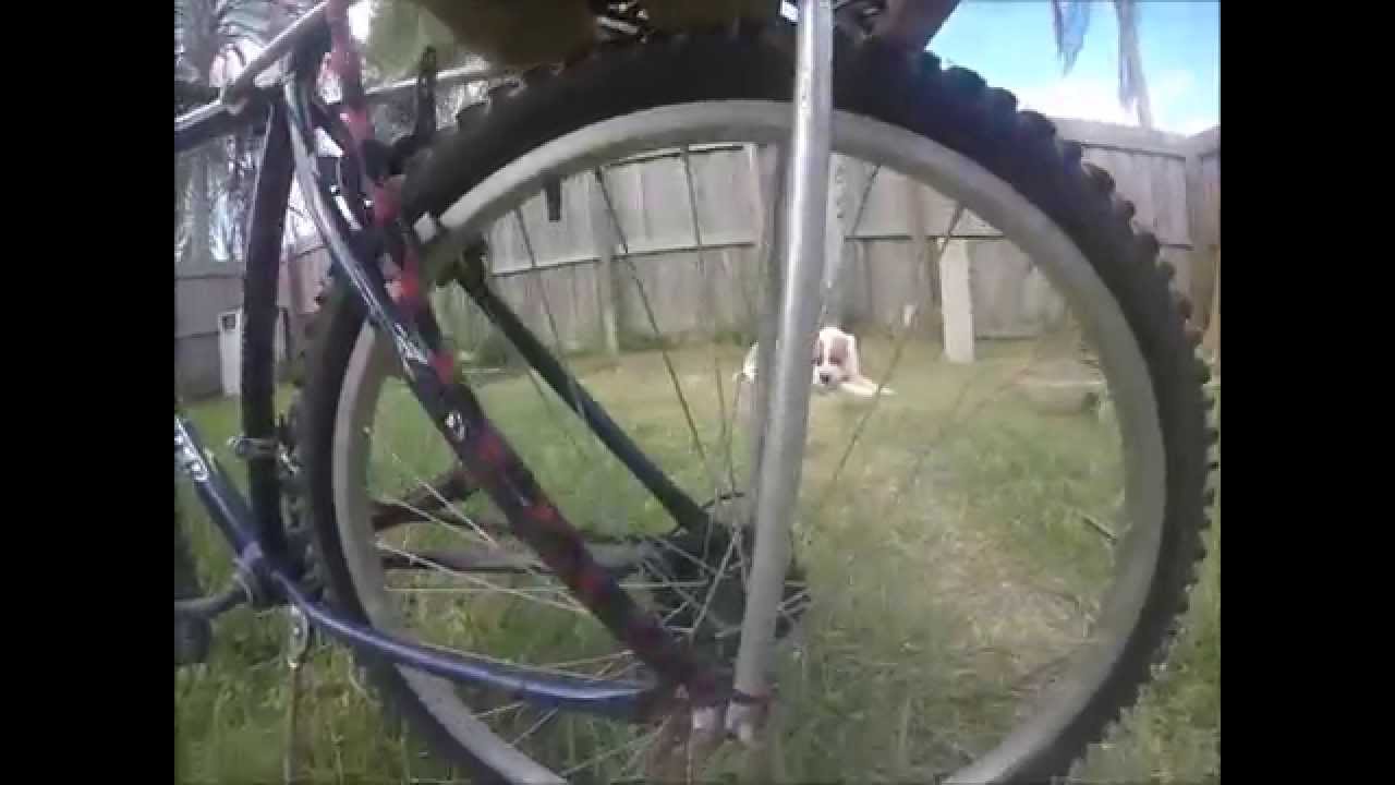 fishing florida canals Bike Fishing Tips
