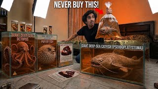I  Bought The Most Scariest Fishes Off The Web 