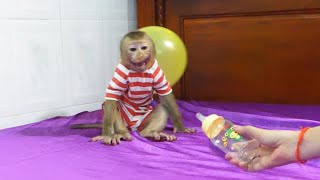 Mr. Donnal Cryingangry Mom Give Empty Bottle Milk To Him