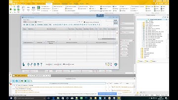 13:45 Desenvolvimento - WinDev - Erp