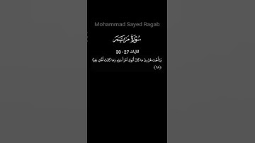 القرآن الكريم  - سورة مريم  - الآيات 27 - 30